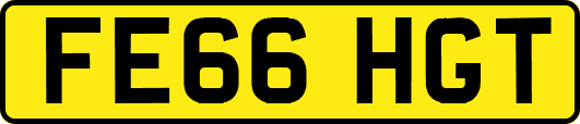 FE66HGT