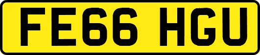 FE66HGU