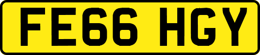 FE66HGY