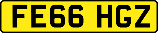FE66HGZ
