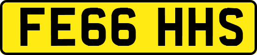 FE66HHS
