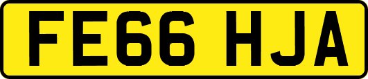 FE66HJA