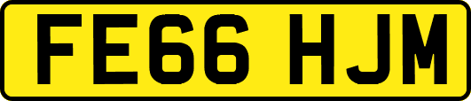 FE66HJM