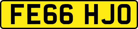 FE66HJO