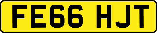 FE66HJT