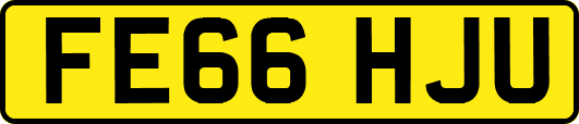 FE66HJU