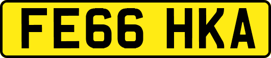 FE66HKA