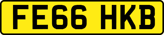 FE66HKB