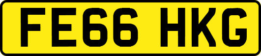 FE66HKG