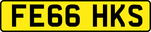 FE66HKS