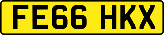 FE66HKX