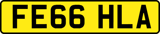 FE66HLA