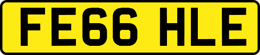 FE66HLE