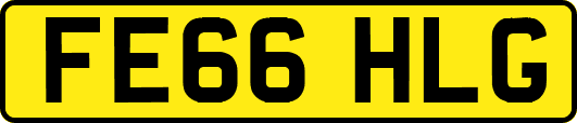 FE66HLG