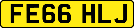 FE66HLJ