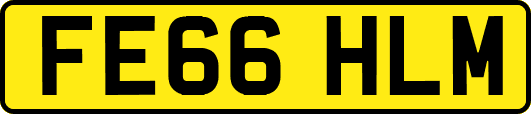 FE66HLM