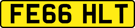 FE66HLT