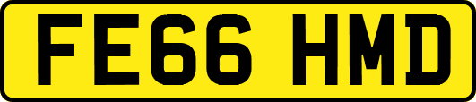 FE66HMD