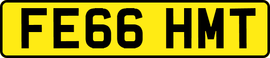 FE66HMT