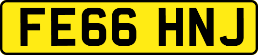 FE66HNJ