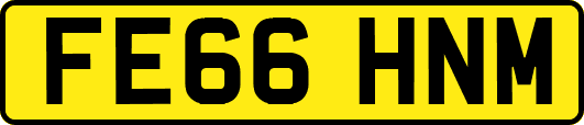 FE66HNM