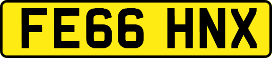 FE66HNX