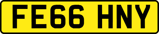 FE66HNY