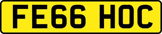 FE66HOC