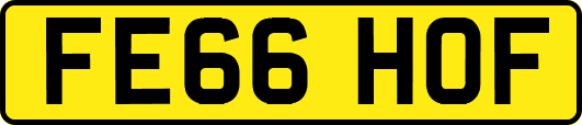 FE66HOF