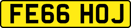 FE66HOJ