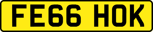 FE66HOK