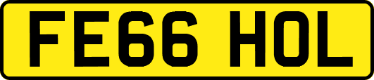 FE66HOL