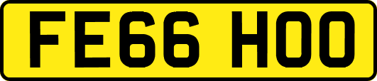 FE66HOO