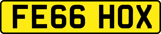 FE66HOX