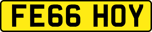 FE66HOY