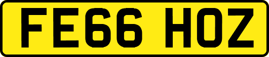 FE66HOZ