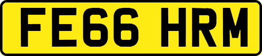 FE66HRM
