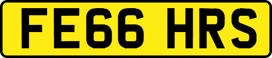 FE66HRS