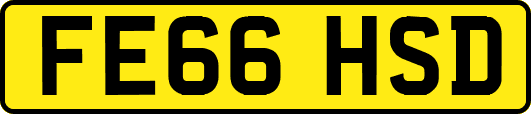 FE66HSD