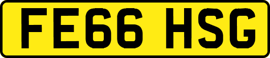 FE66HSG