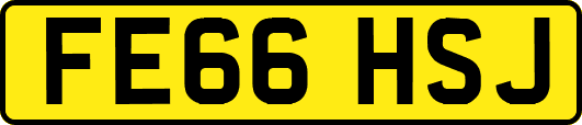 FE66HSJ