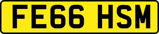 FE66HSM