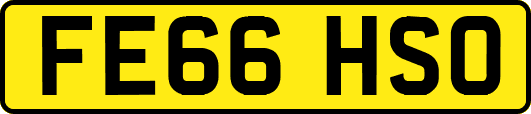 FE66HSO