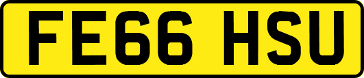 FE66HSU