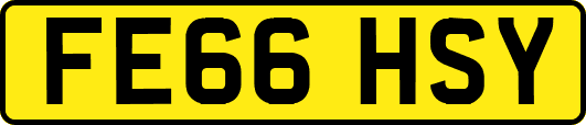 FE66HSY