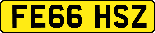 FE66HSZ