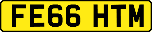 FE66HTM