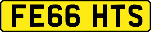 FE66HTS
