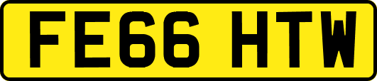 FE66HTW