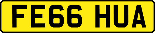 FE66HUA